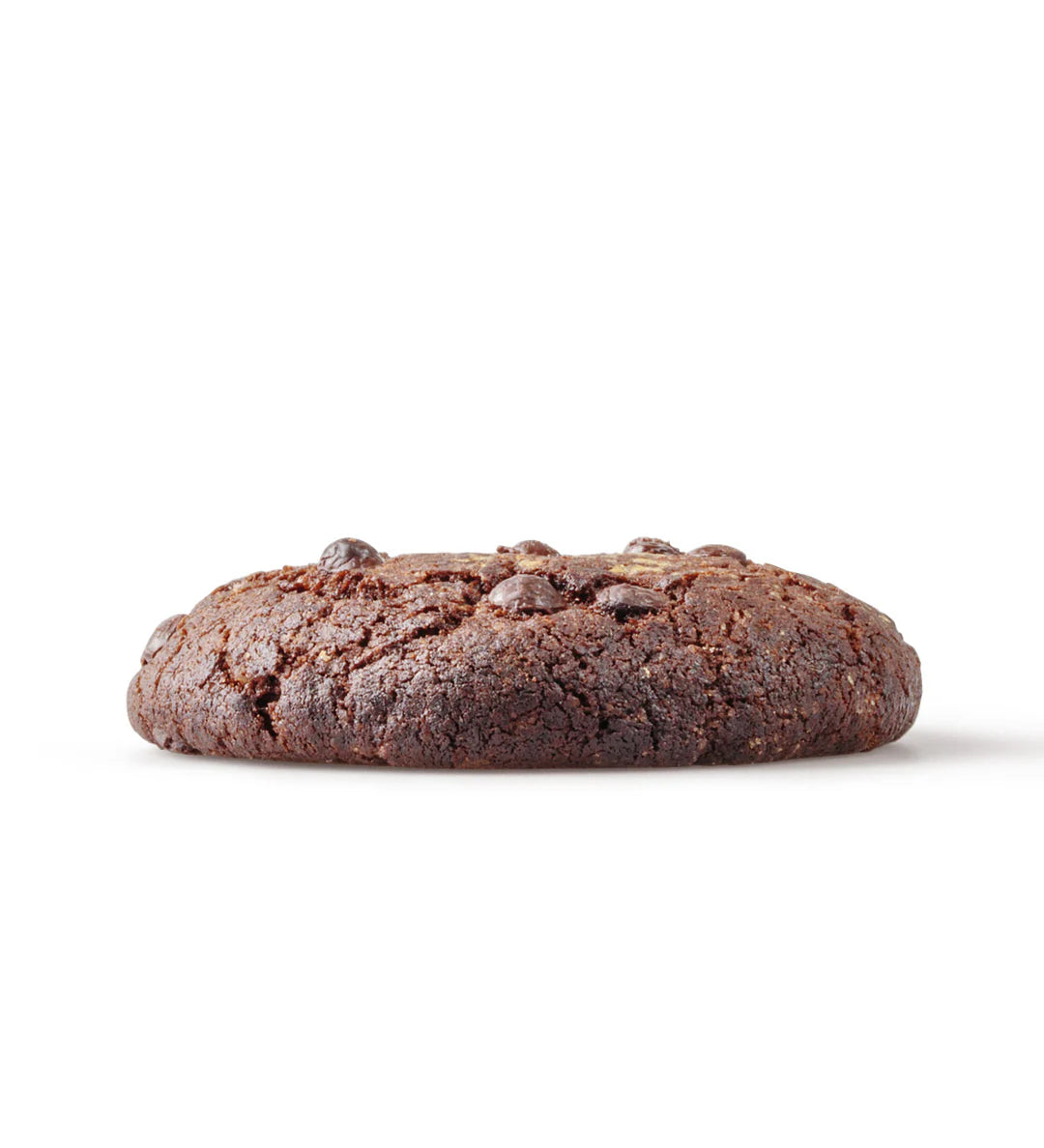 Chocolate Cookie
